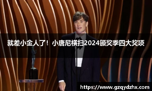 就差小金人了！小唐尼横扫2024颁奖季四大奖项